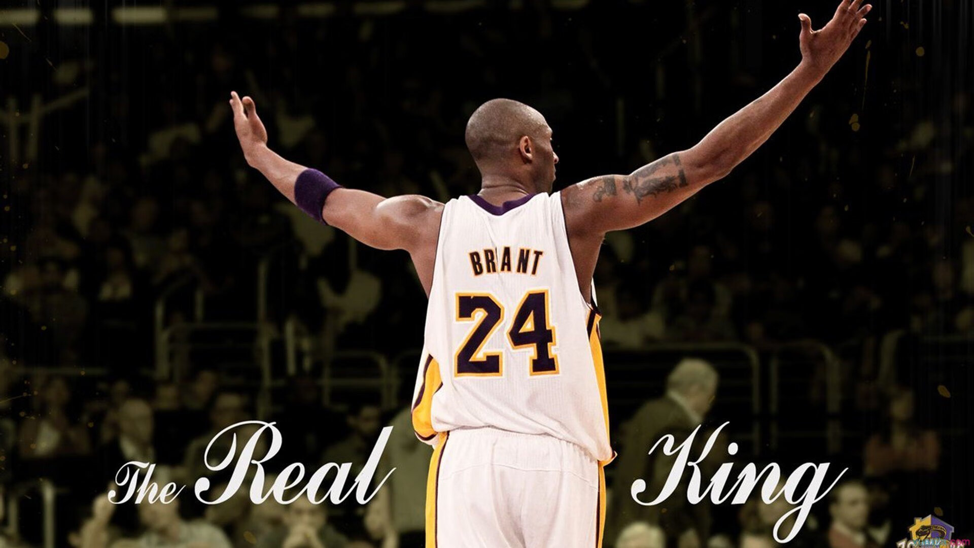 开云官网-密尔沃基磐石与金州灯塔，当沉稳的体系与炽热的意志同时奏凯